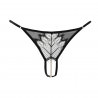 Set Bracli Kyoto BH Bra & Kyoto G-String