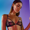 Bracli Manhattan Bra